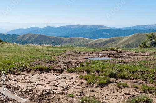 A puddle of mud with tire tracks
