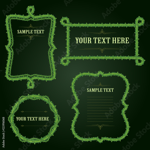 Thorn frame and border