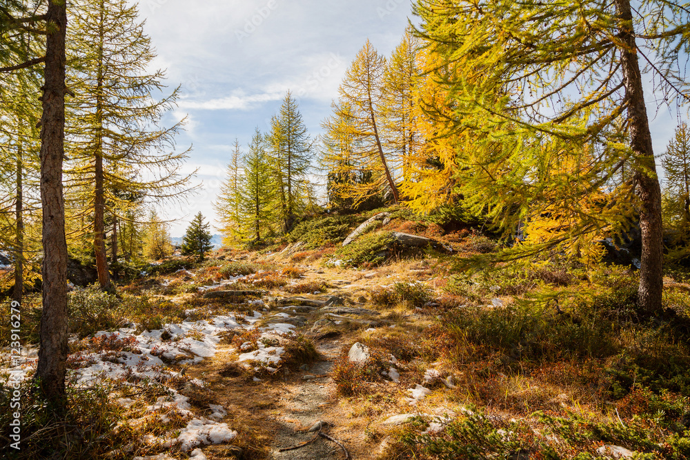 Obraz premium sentiero