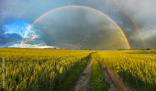 Bild auf Leinwand rainbow after the storm