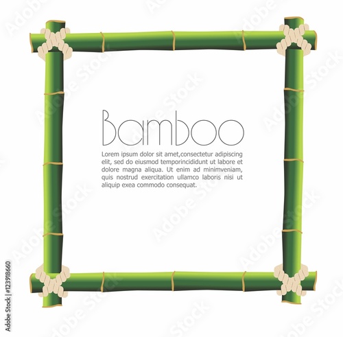 Green bamboo frame isolated on white background