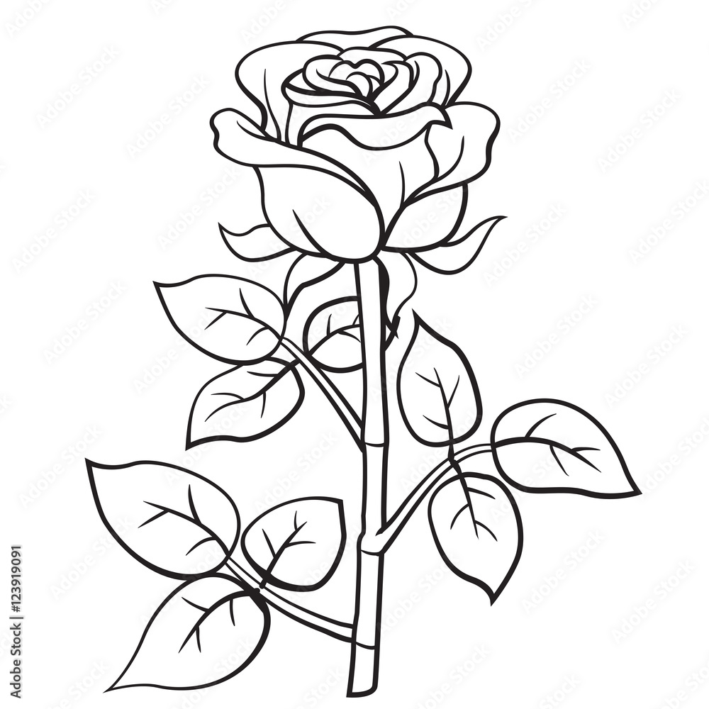 Rose cartoon style Rose cartoon style