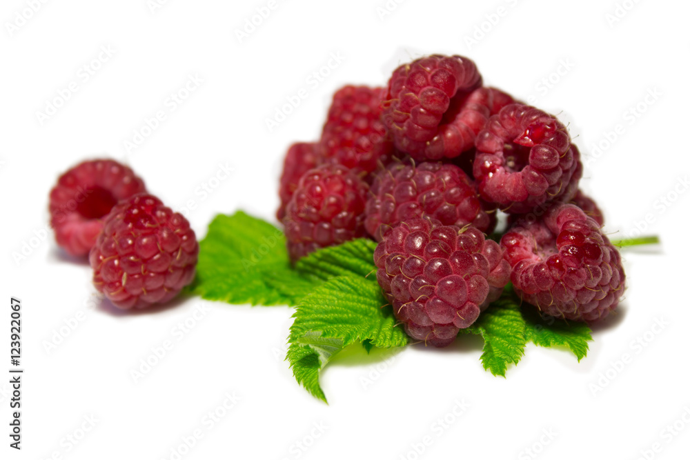 fresh raspberries fresh raspberries