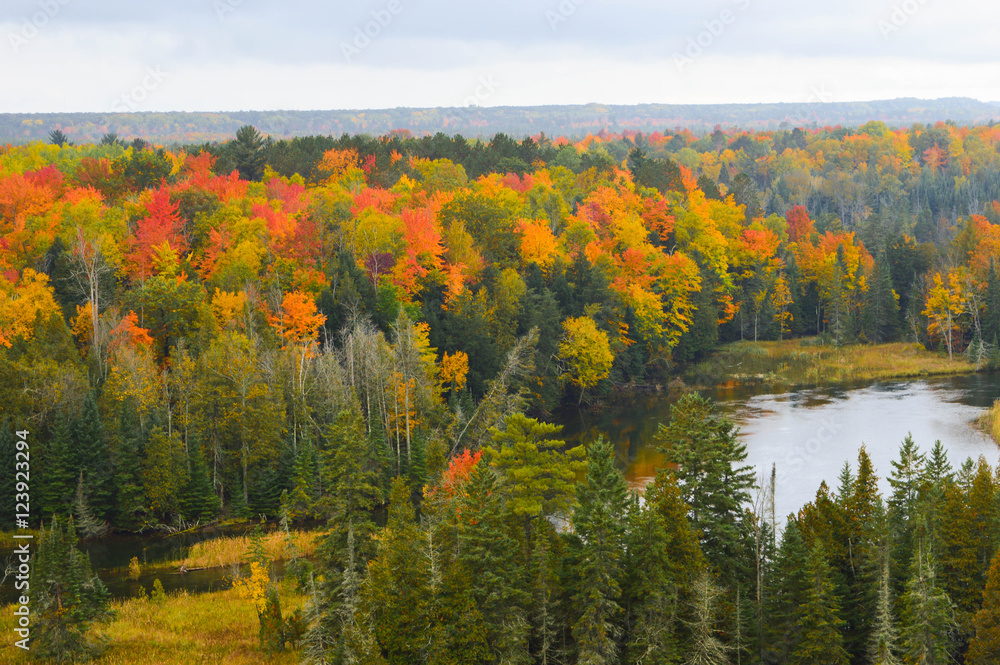 The High banks of the Ausable River in Autumn