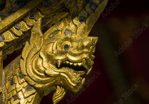 Thailänderischer Drachenkopf © EKH-Pictures