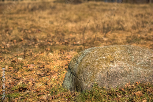 Fototapeta Naklejka Na Ścianę i Meble -  Huge boulders in the dry yellow grass