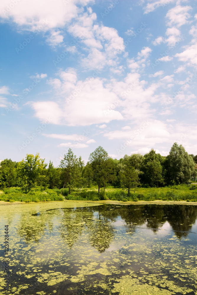 Fototapeta premium Landscape of the lake with trees and cloudy sky