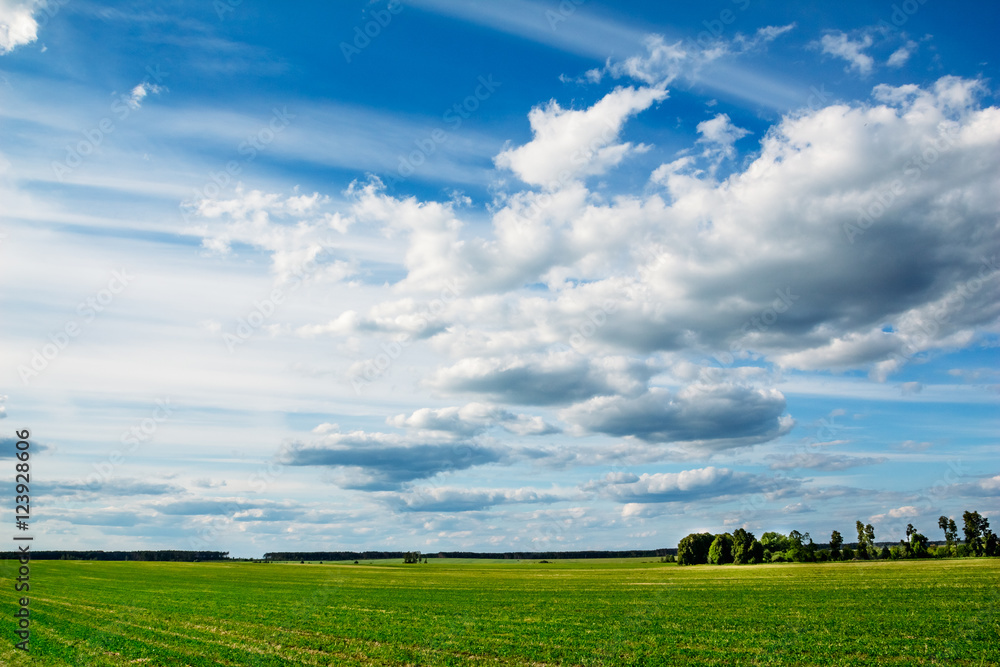 Rural field with cloudy sky