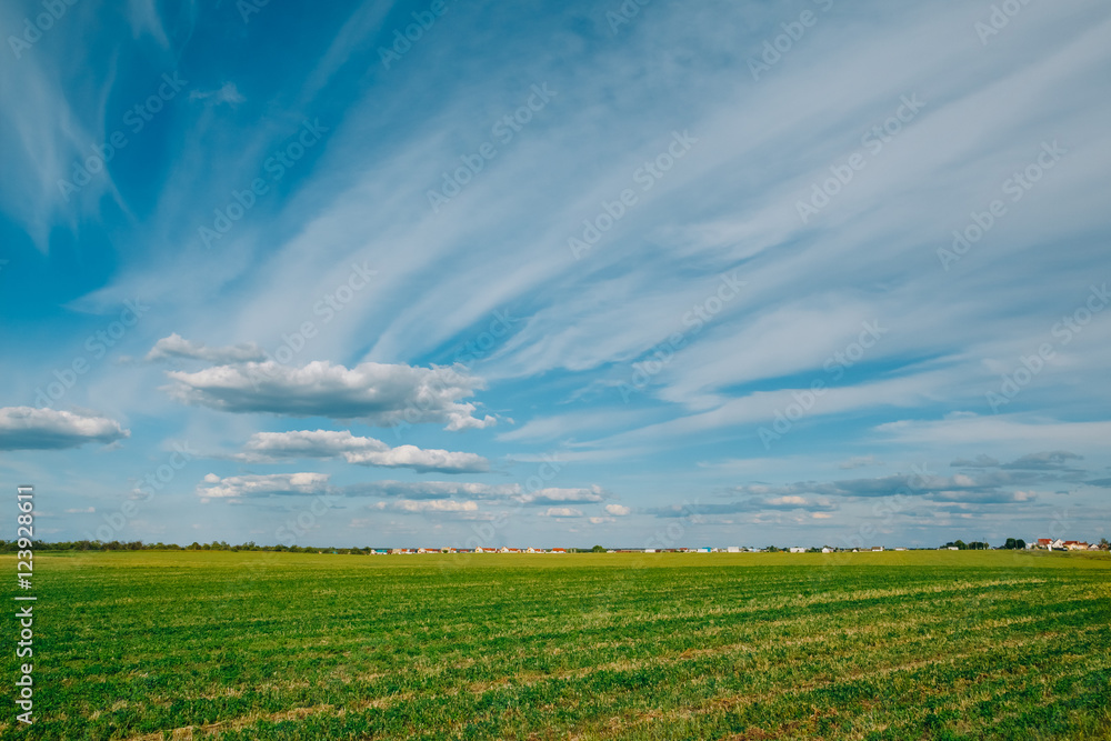 Landscape green field and cloudy beautiful sky