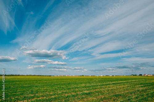 Landscape green field and cloudy beautiful sky