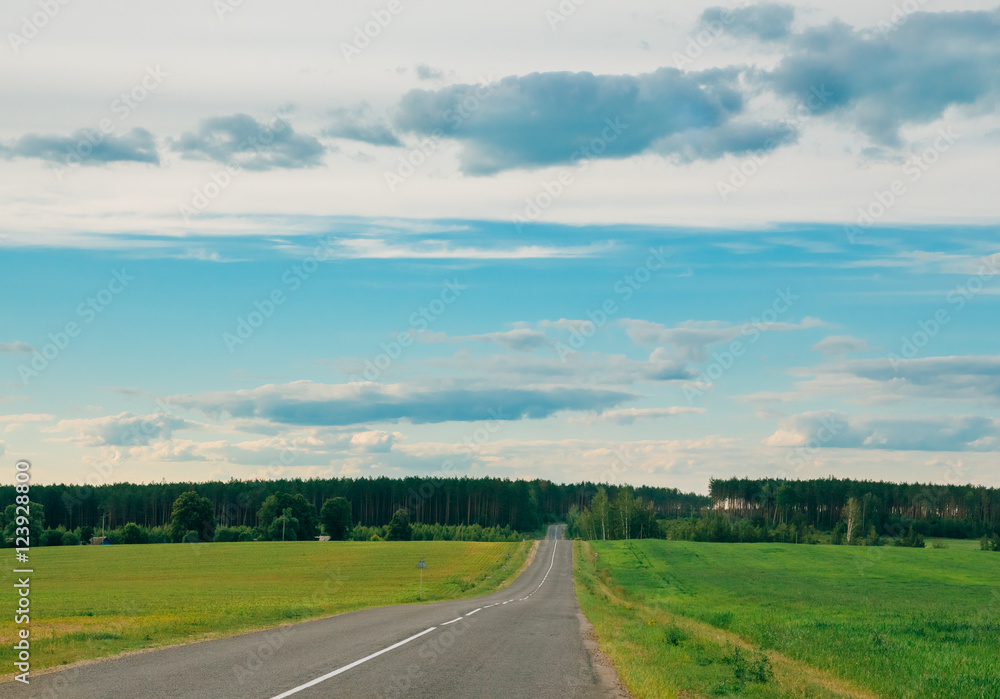 Motorway in the rural areas of the forest and sky