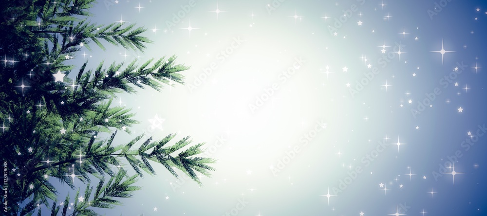 Composite image of fir tree branches Composite image of fir tree branches