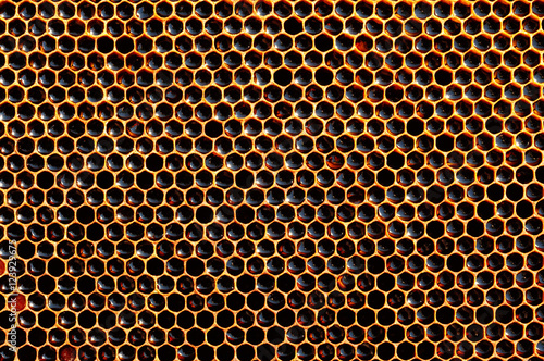 fresh honey in cells, dark honeycomb natural background