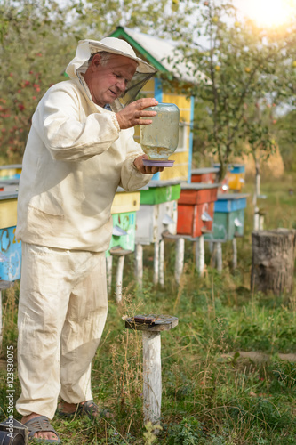 Beekeeper apiary puts on a bowl of water for bees