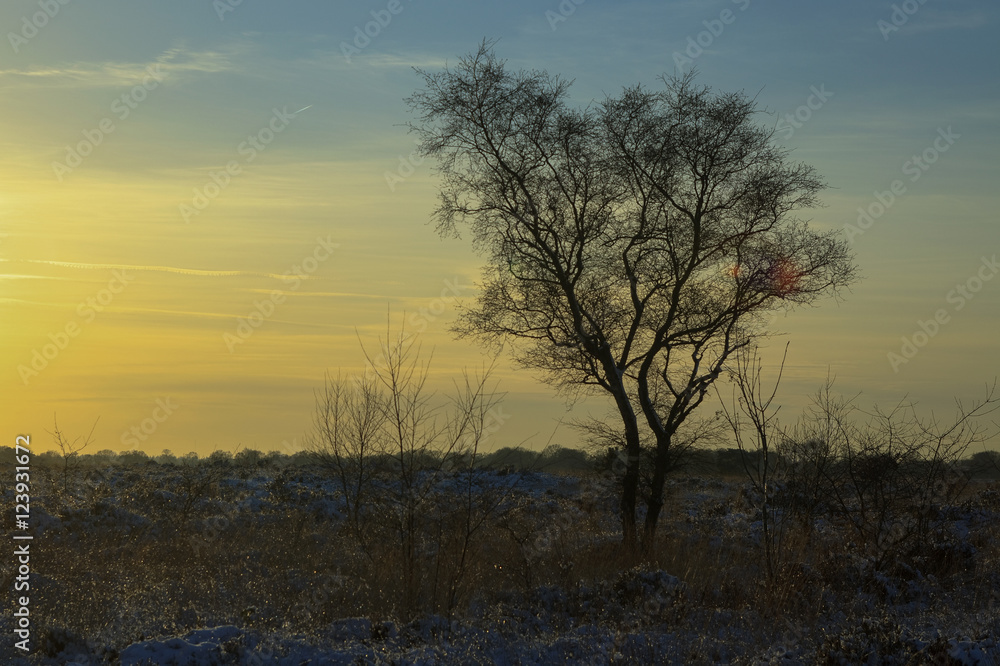 Setting sun in the snow