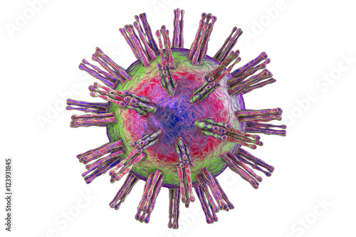 Human Herpes simplex virus isolated on white background. 3D illustration