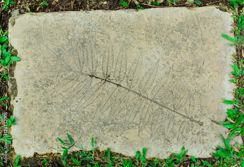 stone pathway