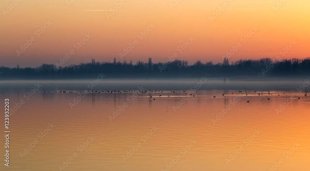 Sunset over the lake Balaton of Hungary with birds