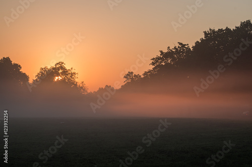 Misty morning landscape of Little Poland, Poland