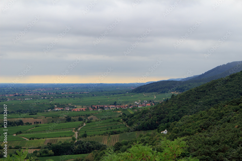 Naklejka premium Landschaft