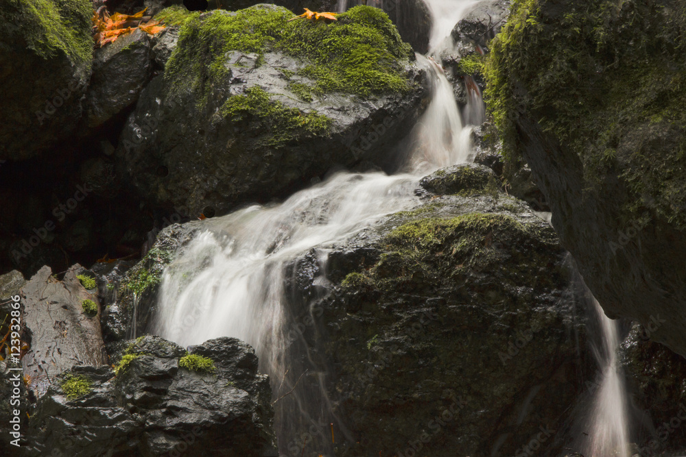 Cataract Falls redwood waterfall Cataract Falls redwood waterfall