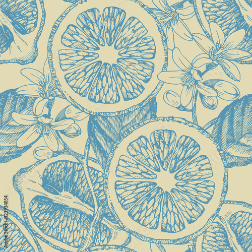 Seamless pattern with citrus fruits. Vector lemon. Hand drawn illustration.