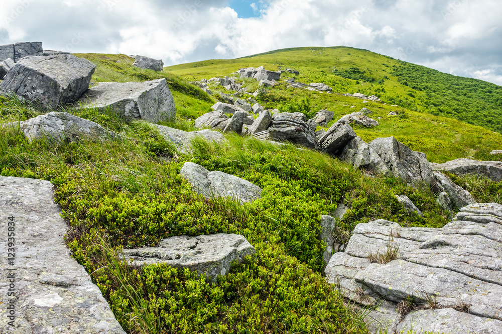 stones and boulders in Carpathian mountain range