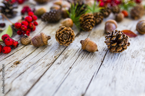 Autumn cones, acorns and rowan on wooden background with space for text.