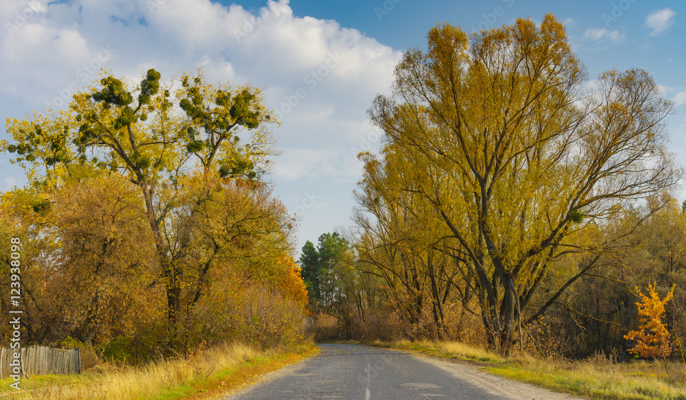 Autumnal landscape with rural road in Sumskaya oblast, Ukraine Autumnal landscape with rural road in Sumskaya oblast, Ukraine