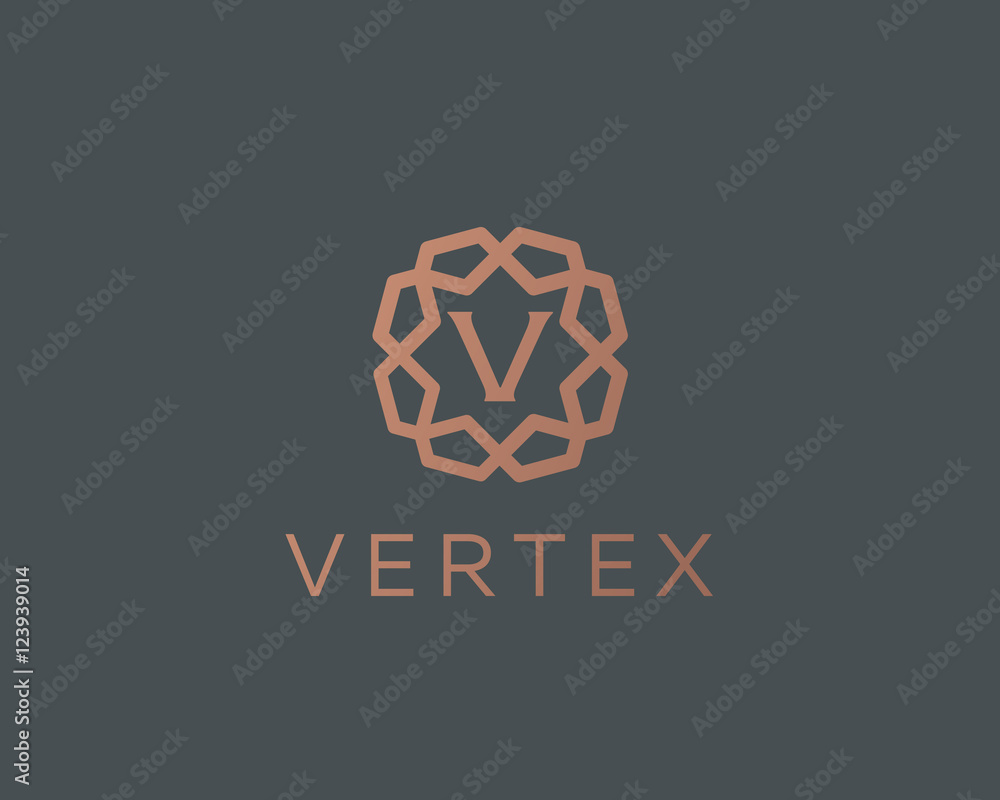Premium letter V logo icon vector design. Luxury jewelry frame gem edge logotype. Print monogram initials stamp sign symbol. Premium letter V logo icon vector design. Luxury jewelry frame gem edge logotype. Print monogram initials stamp sign symbol.