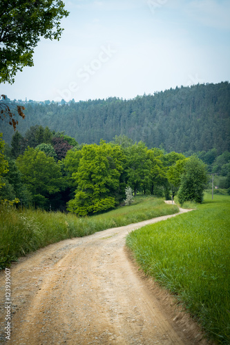 country road in nature