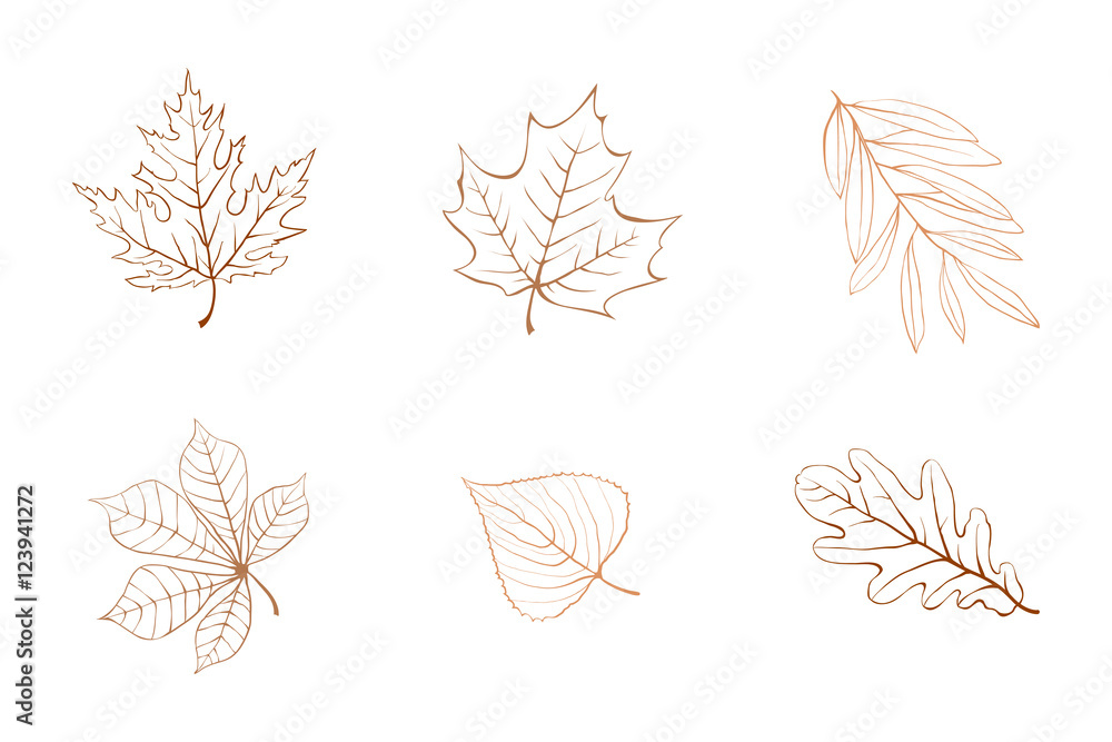 Obraz premium Vector autumn leaves design elements multicolor on ivory background.