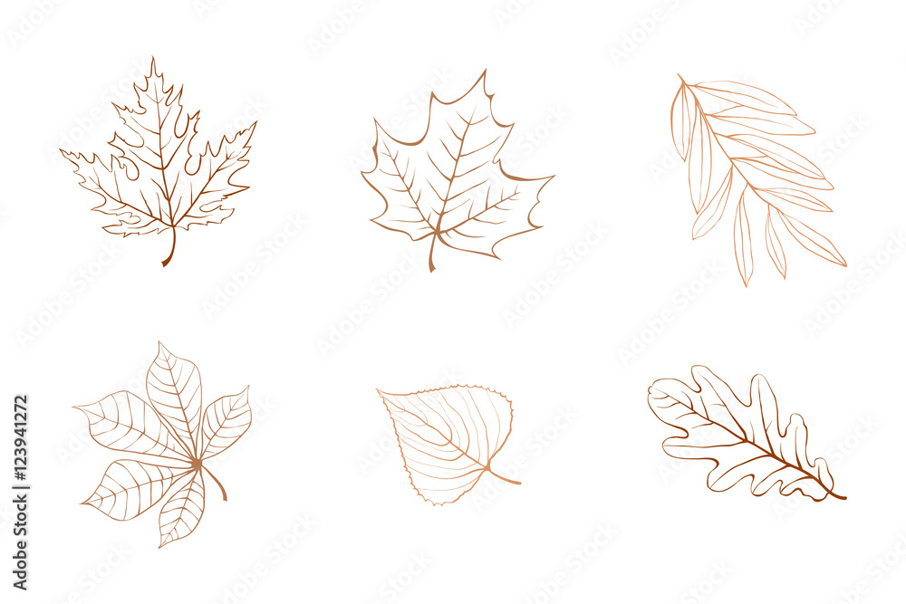 Naklejka premium Vector autumn leaves design elements multicolor on ivory background.