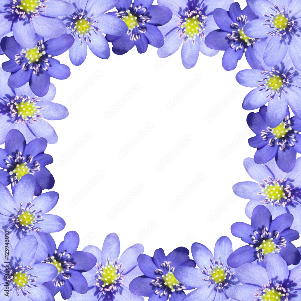 Beautiful floral background of blue spring flowers 
