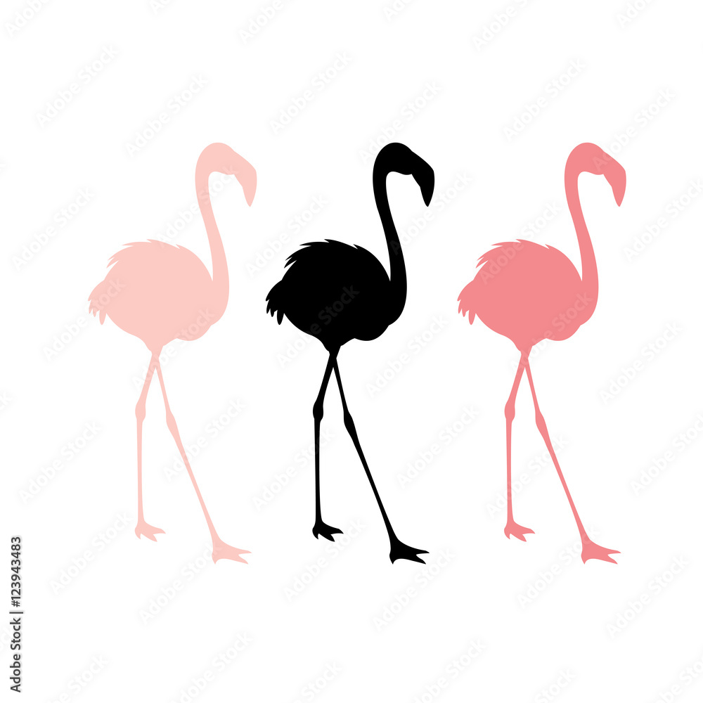Obraz premium Pink flamingos vector illustration set silhouette