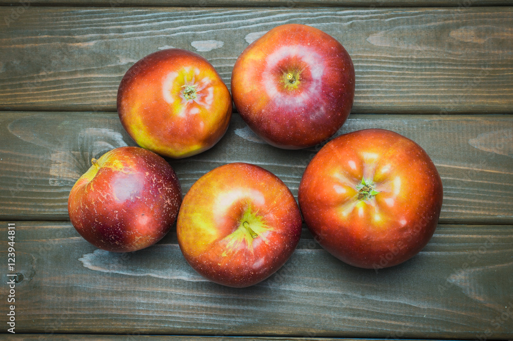 Whole green red ripe apples autumn harvest from above on dark brown wooden table Whole green red ripe apples autumn harvest from above on dark brown wooden table