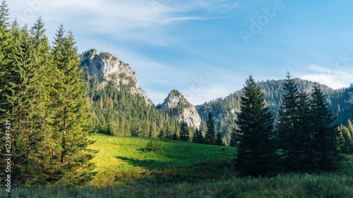 View of a Koscielisko Valley in polish Tatras Poland.