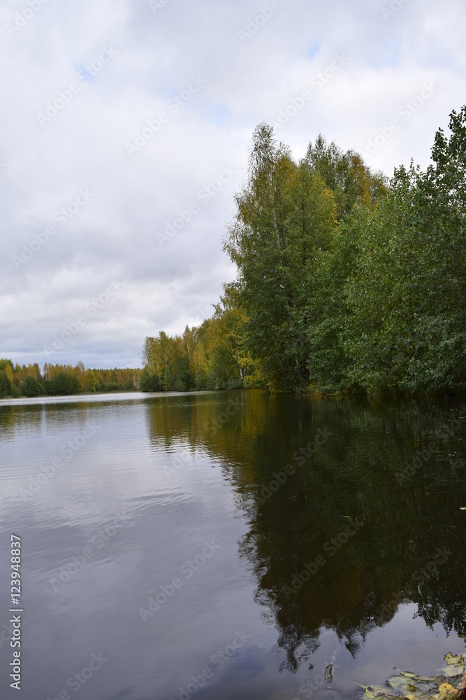 Fototapeta premium осенний пейзаж