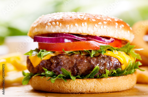Fotografie, Obraz hamburger with fries