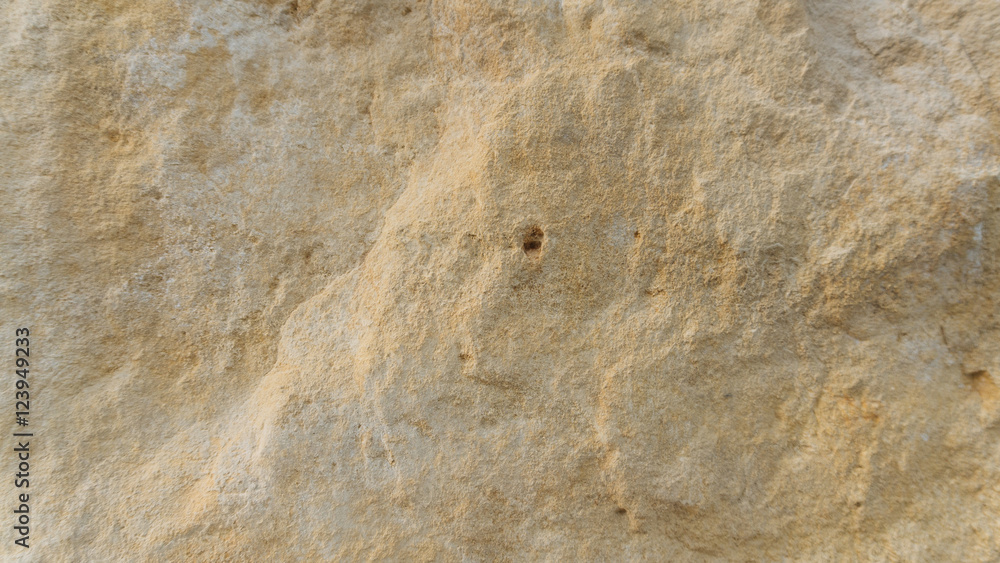 Diplopora Dolomite Rock Layers. Pen for scale usable as texture or background Diplopora Dolomite Rock Layers. Pen for scale usable as texture or background