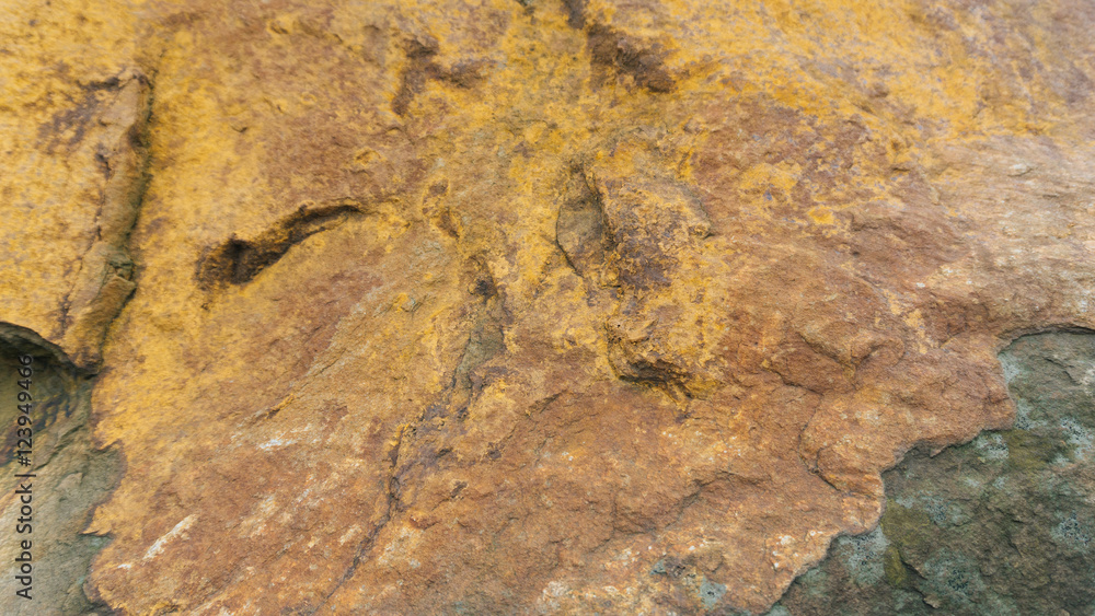 Stone texture background. Istebna sandstone usable as texture or background Stone texture background. Istebna sandstone usable as texture or background