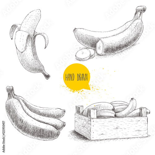 Hand drawn set of fresh ripe bananas.Wooden crate with bananas  on a white background. Sketch style illustration.