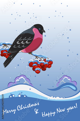Winter greeting card with a bird, bullfinch, on snowy background. 