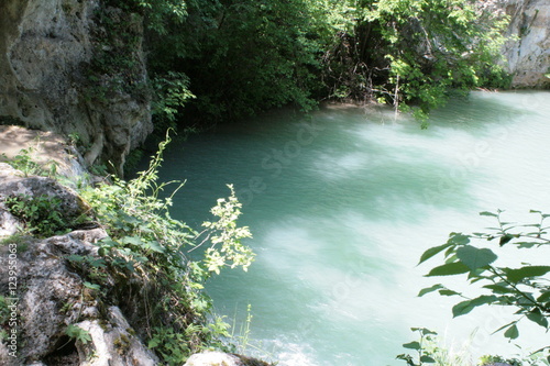 Wallpaper Mural forest lake Torontodigital.ca