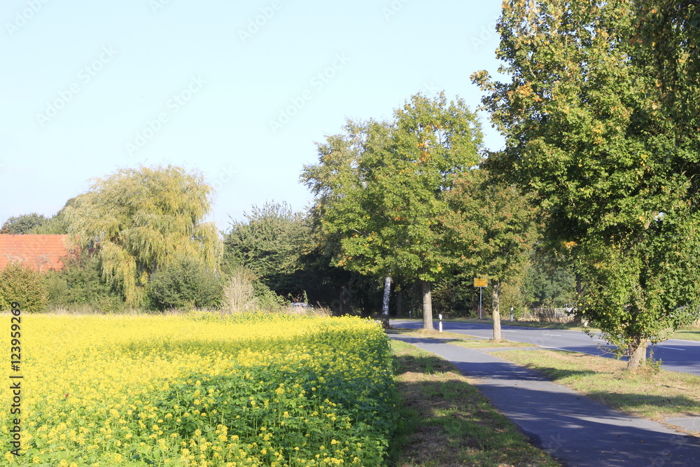 Ritterhude im Herbst