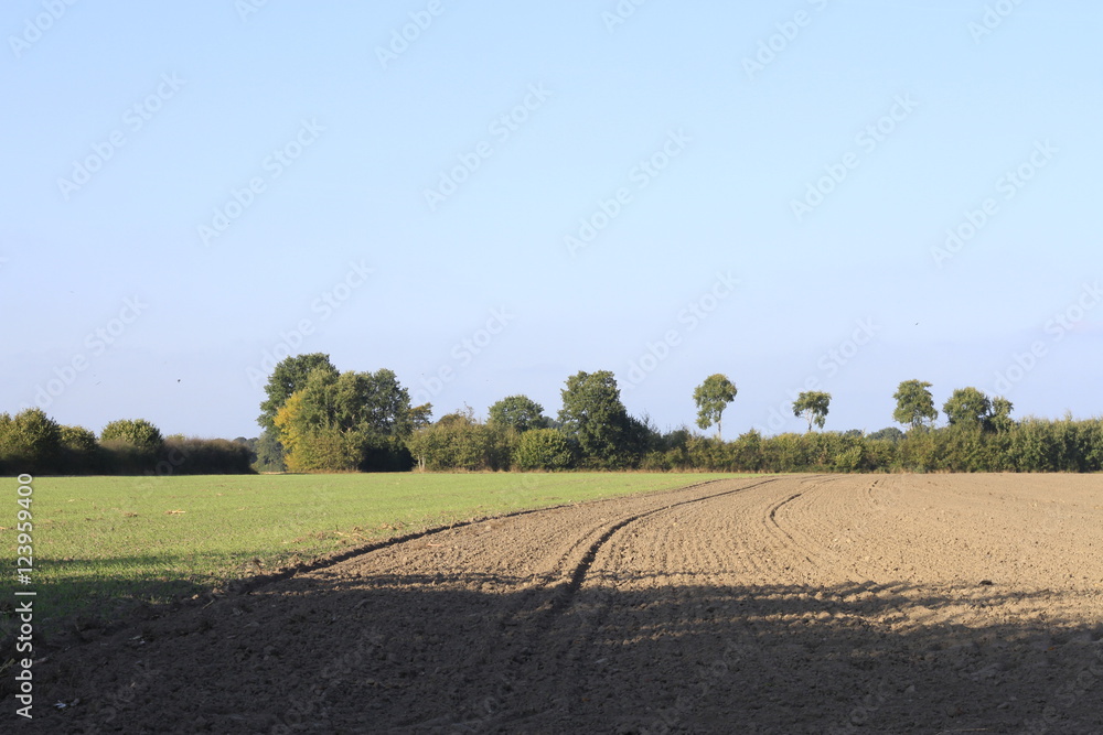 Ritterhude im Herbst