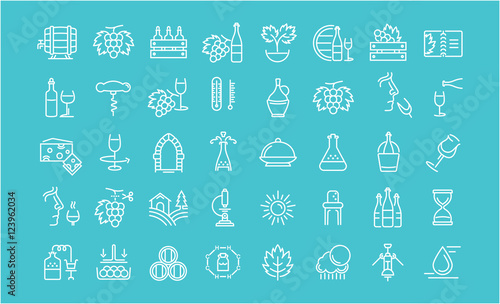 Set Vector Flat Line Icons Wine