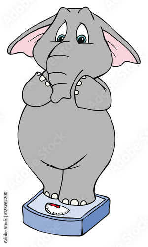Elefant auf Waage