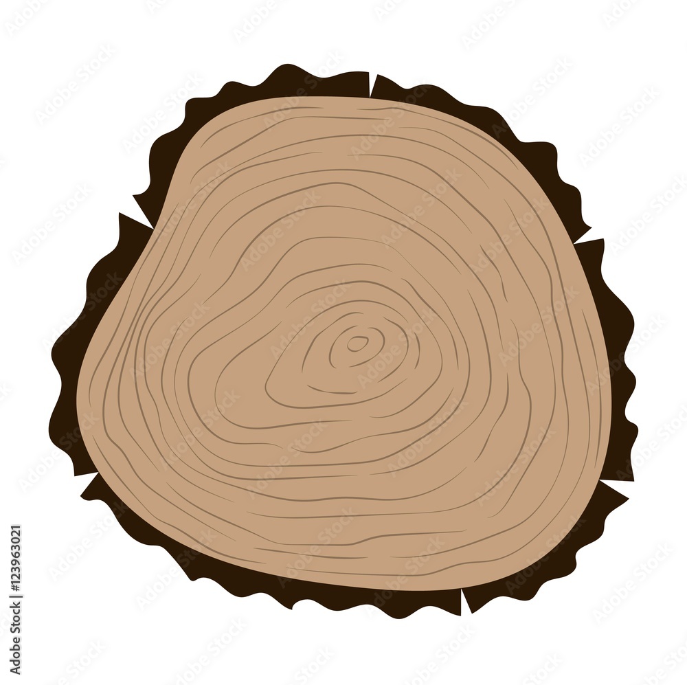 Tree slice vector isolated Tree slice vector isolated