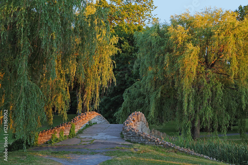 Onondaga Park Syracuse-Weeping willows framing a sun-kissed stone bridge in Syracuse NY photo